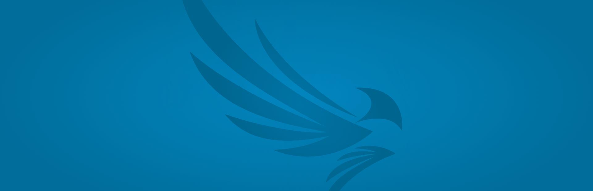 KS Services: Eagle Eye Networks